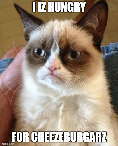 Grumpy Cat | I IZ HUNGRY; FOR CHEEZEBURGARZ | image tagged in memes,grumpy cat | made w/ Imgflip meme maker