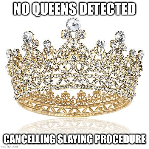 you wouldn't get it | NO QUEENS DETECTED; CANCELLING SLAYING PROCEDURE | made w/ Imgflip meme maker
