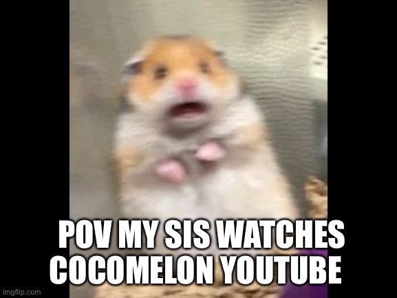 Me every day | POV MY SIS WATCHES COCOMELON YOUTUBE | image tagged in memes | made w/ Imgflip meme maker