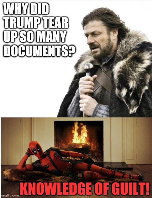 Deadpool answers | WHY DID
TRUMP TEAR
UP SO MANY DOCUMENTS? KNOWLEDGE OF GUILT! | image tagged in deadpool answers,trump knew,criminal minds,simple,guilty | made w/ Imgflip meme maker