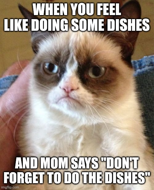 Grumpy Cat Meme | WHEN YOU FEEL LIKE DOING SOME DISHES; AND MOM SAYS "DON'T FORGET TO DO THE DISHES" | image tagged in memes,grumpy cat | made w/ Imgflip meme maker