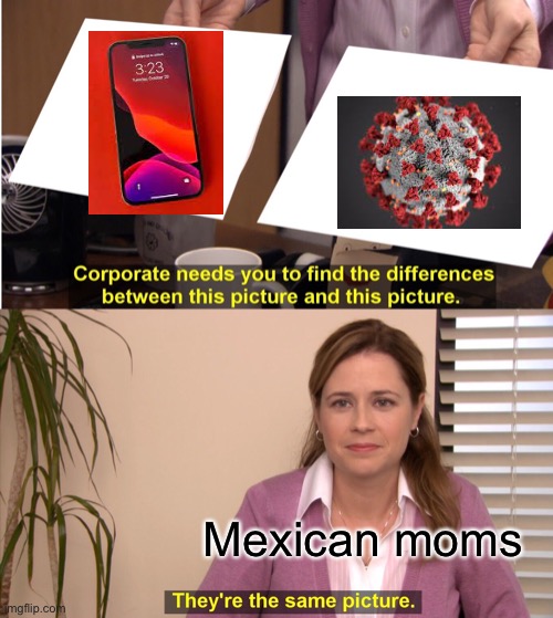 They're The Same Picture Meme | Mexican moms | image tagged in memes,they're the same picture | made w/ Imgflip meme maker