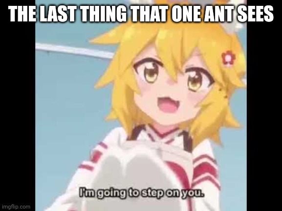Senko-san tries to kill you. | THE LAST THING THAT ONE ANT SEES | image tagged in senko-san tries to kill you | made w/ Imgflip meme maker