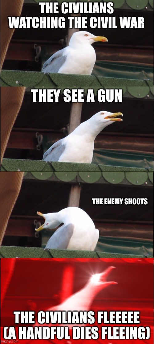 Inhaling Seagull Meme | THE CIVILIANS WATCHING THE CIVIL WAR; THEY SEE A GUN; THE ENEMY SHOOTS; THE CIVILIANS FLEEEEE
(A HANDFUL DIES FLEEING) | image tagged in memes,inhaling seagull | made w/ Imgflip meme maker