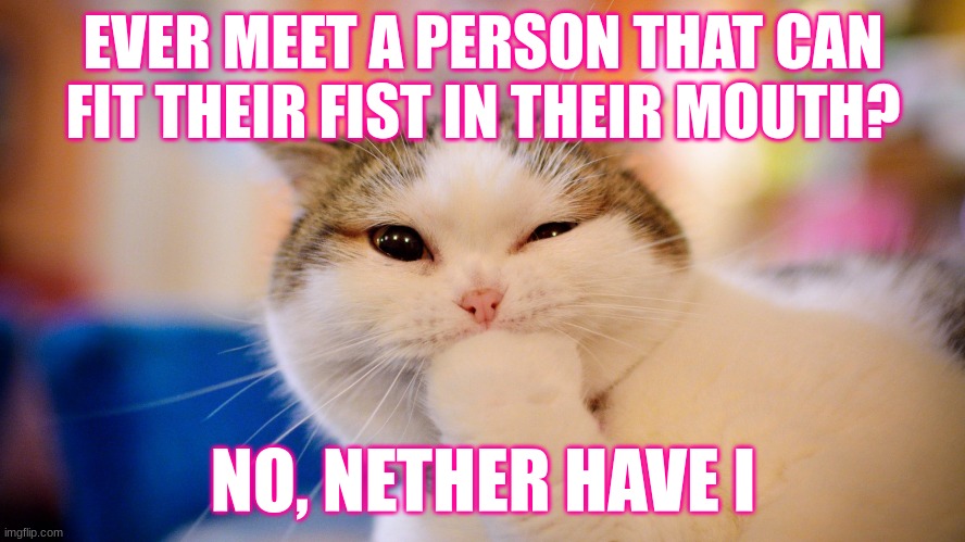 Cat | EVER MEET A PERSON THAT CAN FIT THEIR FIST IN THEIR MOUTH? NO, NETHER HAVE I | image tagged in cats,funny cats,lol | made w/ Imgflip meme maker