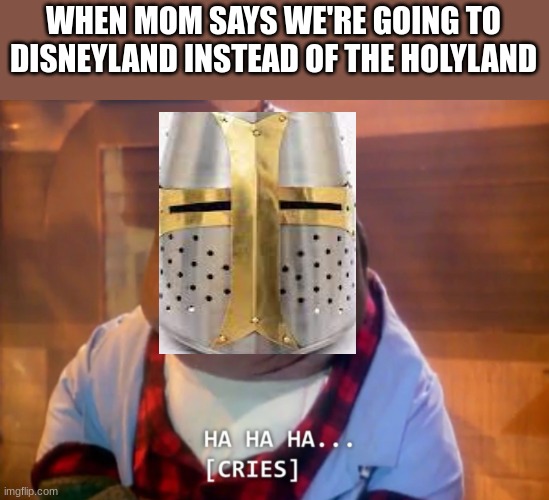 sad crusader noises | WHEN MOM SAYS WE'RE GOING TO DISNEYLAND INSTEAD OF THE HOLYLAND | image tagged in crusader | made w/ Imgflip meme maker