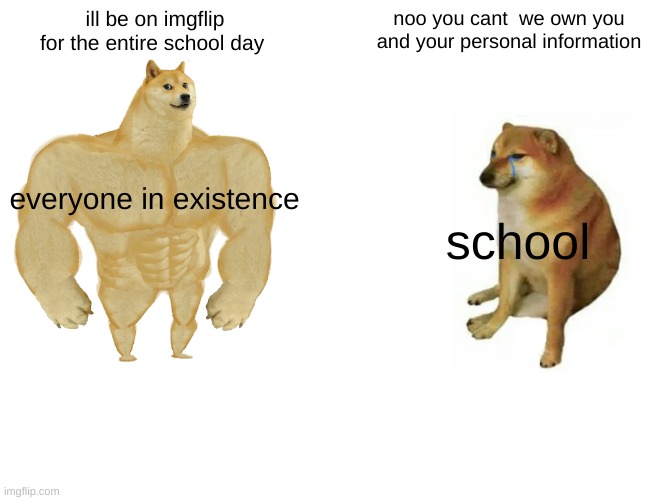 isnt it illegal to give strangers (school) our personal info | ill be on imgflip for the entire school day; noo you cant  we own you and your personal information; everyone in existence; school | image tagged in memes,buff doge vs cheems | made w/ Imgflip meme maker