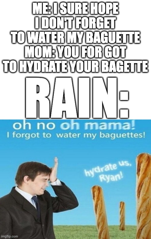 Rain Hydrate my baguettes please I need to stop forgetting to | ME: I SURE HOPE I DON'T FORGET TO WATER MY BAGUETTE
MOM: YOU FOR GOT TO HYDRATE YOUR BAGETTE; RAIN: | image tagged in hydrate us ryan 1 | made w/ Imgflip meme maker