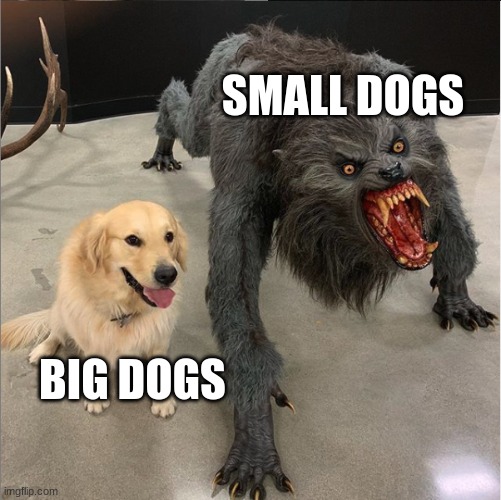 dog vs werewolf | SMALL DOGS; BIG DOGS | image tagged in dog vs werewolf | made w/ Imgflip meme maker