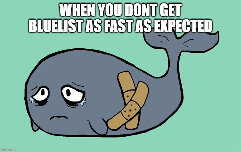 Sad Whale | WHEN YOU DONT GET BLUELIST AS FAST AS EXPECTED | image tagged in sad whale | made w/ Imgflip meme maker