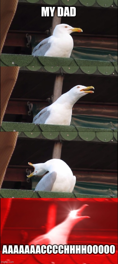 Inhaling Seagull Meme | MY DAD; AAAAAAACCCCHHHHOOOOO | image tagged in memes,inhaling seagull | made w/ Imgflip meme maker