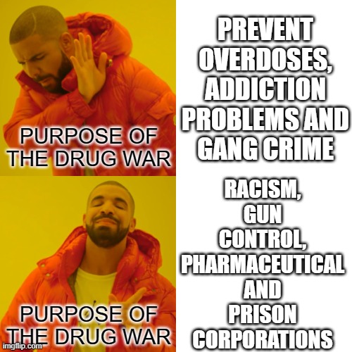 Purpose of the Drug War | RACISM,
GUN CONTROL, PHARMACEUTICAL
AND PRISON CORPORATIONS; PREVENT OVERDOSES, ADDICTION PROBLEMS AND GANG CRIME | image tagged in war on drugs,fascism,fascists,establishment,government corruption,big government | made w/ Imgflip meme maker