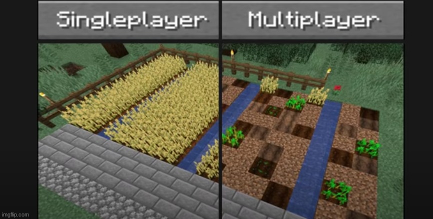 Why does everyone trample one another's crops? | image tagged in minecraft | made w/ Imgflip meme maker