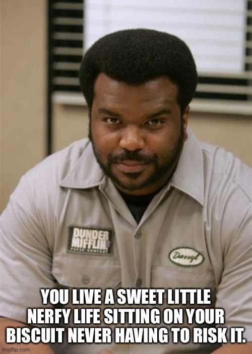 YOU LIVE A SWEET LITTLE NERFY LIFE SITTING ON YOUR BISCUIT NEVER HAVING TO RISK IT. | image tagged in the office,nerf,life,darryl philbin,craig robinson | made w/ Imgflip meme maker