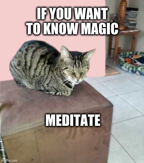 IF YOU WANT TO KNOW MAGIC; MEDITATE | image tagged in cat,kitty,meditation,meditate,zen,relax | made w/ Imgflip meme maker