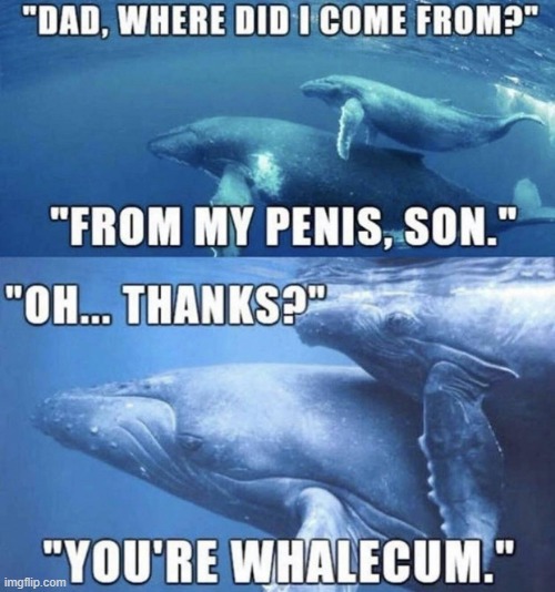 You’re whalecum | image tagged in you re whalecum | made w/ Imgflip meme maker