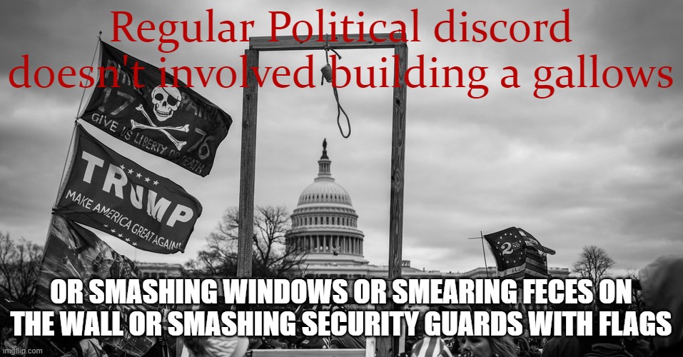 Capitol Hill riot gallows | Regular Political discord doesn't involved building a gallows; OR SMASHING WINDOWS OR SMEARING FECES ON THE WALL OR SMASHING SECURITY GUARDS WITH FLAGS | image tagged in capitol hill riot gallows | made w/ Imgflip meme maker