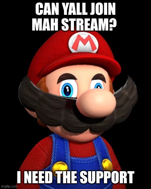 SMG4 Mario | CAN YALL JOIN MAH STREAM? I NEED THE SUPPORT | image tagged in smg4 mario | made w/ Imgflip meme maker