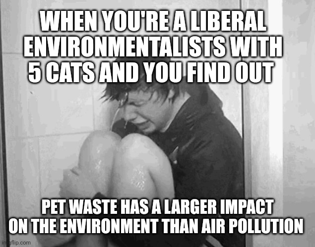 Wait until they find out what bears do in the woods | WHEN YOU'RE A LIBERAL ENVIRONMENTALISTS WITH 5 CATS AND YOU FIND OUT; PET WASTE HAS A LARGER IMPACT ON THE ENVIRONMENT THAN AIR POLLUTION | image tagged in funny memes | made w/ Imgflip meme maker