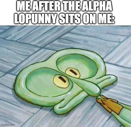 ME AFTER THE ALPHA LOPUNNY SITS ON ME: | made w/ Imgflip meme maker