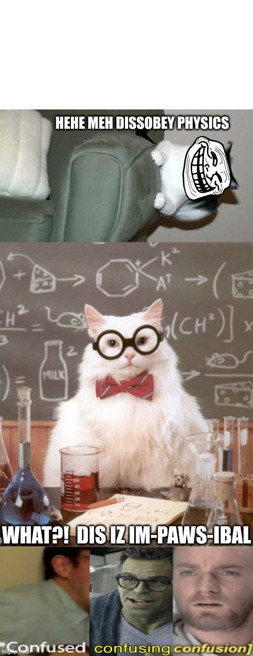 how tho | HEHE MEH DISSOBEY PHYSICS; WHAT?!  DIS IZ IM-PAWS-IBAL | image tagged in cat with no physics,science cat physics | made w/ Imgflip meme maker