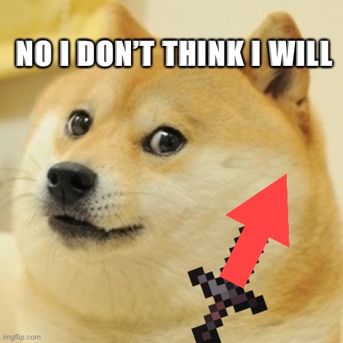 NO I DON’T THINK I WILL | image tagged in memes,doge | made w/ Imgflip meme maker