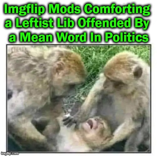 Show Us Exactly Where It Hurts. . . . | image tagged in political meme,imgflip humor,politically correct,sticks and stones,words that offend liberals,overly sensitive | made w/ Imgflip meme maker