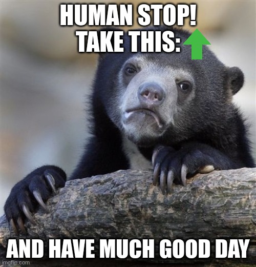 Confession Bear Meme | HUMAN STOP!
TAKE THIS:; AND HAVE MUCH GOOD DAY | image tagged in memes,confession bear,reeeeeeeeeeeeeeeeeeeeee | made w/ Imgflip meme maker