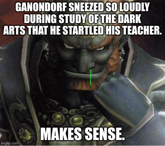Ganondorf | GANONDORF SNEEZED SO LOUDLY DURING STUDY OF THE DARK ARTS THAT HE STARTLED HIS TEACHER. MAKES SENSE. | image tagged in ganondorf | made w/ Imgflip meme maker