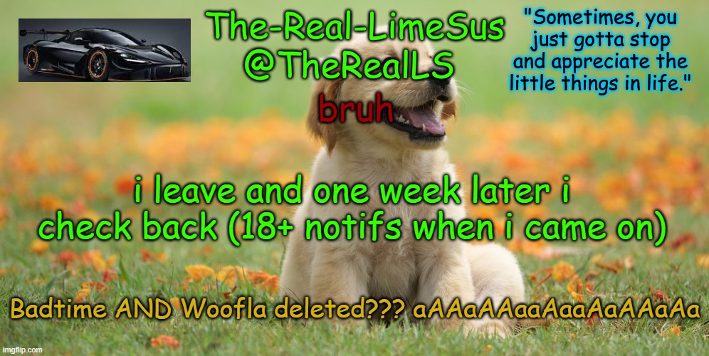 why does everything bad happen when I'm gone D: | bruh; i leave and one week later i check back (18+ notifs when i came on); Badtime AND Woofla deleted??? aAAaAAaaAaaAaAAaAa | image tagged in limesus doggo announcement temp v1 4 | made w/ Imgflip meme maker