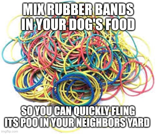 MIX RUBBER BANDS IN YOUR DOG'S FOOD; SO YOU CAN QUICKLY FLING ITS POO IN YOUR NEIGHBORS YARD | image tagged in funny memes | made w/ Imgflip meme maker
