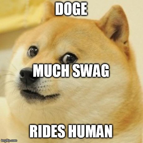 Doge Meme | DOGE RIDES HUMAN MUCH SWAG | image tagged in memes,doge | made w/ Imgflip meme maker