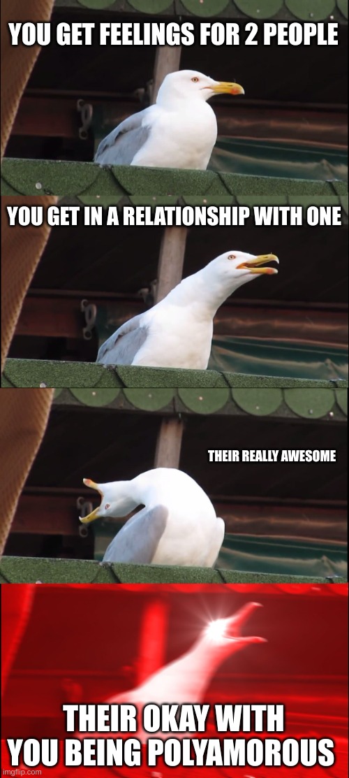 part 2 | YOU GET FEELINGS FOR 2 PEOPLE; YOU GET IN A RELATIONSHIP WITH ONE; THEIR REALLY AWESOME; THEIR OKAY WITH YOU BEING POLYAMOROUS | image tagged in memes,inhaling seagull | made w/ Imgflip meme maker