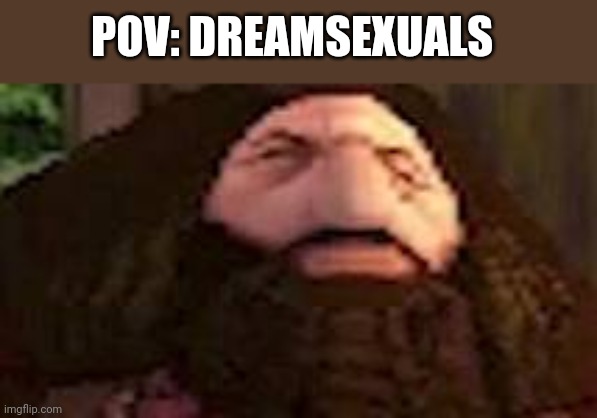 PS1 Hagrid | POV: DREAMSEXUALS | image tagged in ps1 hagrid | made w/ Imgflip meme maker