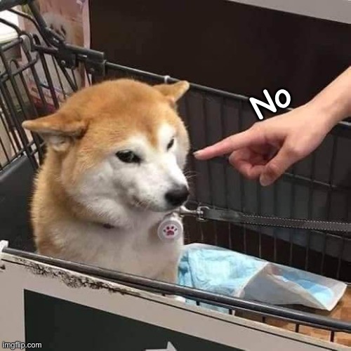 No horny | No | image tagged in no horny | made w/ Imgflip meme maker