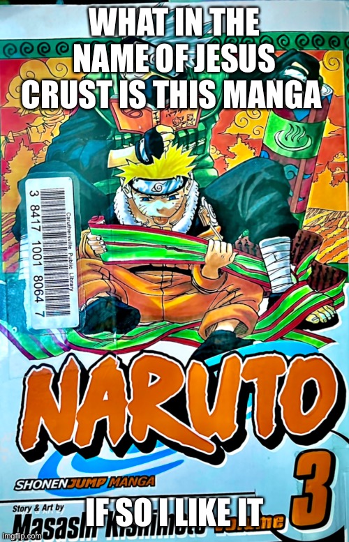 WHAT IN THE NAME OF JESUS CRUST IS THIS MANGA; IF SO I LIKE IT | made w/ Imgflip meme maker