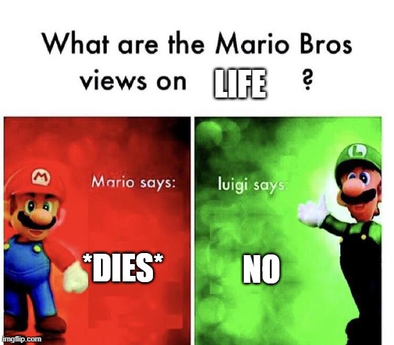 Mario Bros Views |  LIFE; *DIES*; NO | image tagged in mario bros views | made w/ Imgflip meme maker