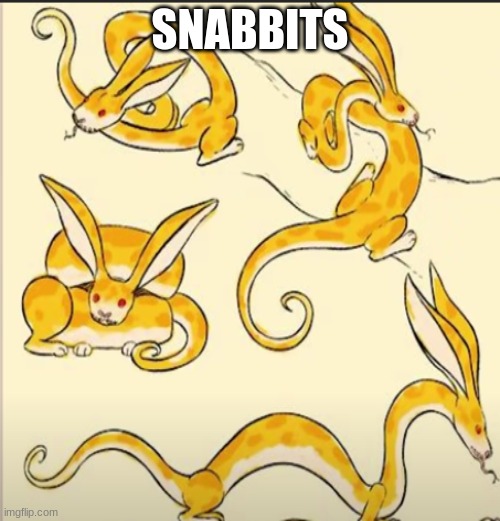 Snabbits | SNABBITS | image tagged in fun | made w/ Imgflip meme maker