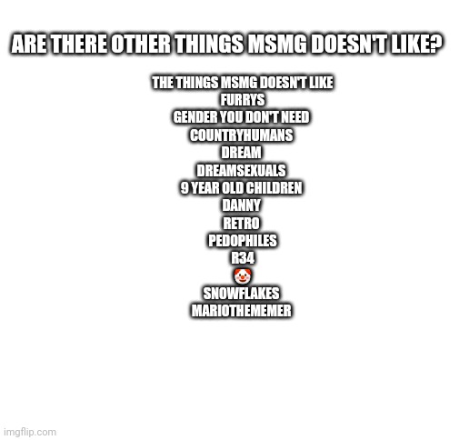 Blank White Template | ARE THERE OTHER THINGS MSMG DOESN'T LIKE? THE THINGS MSMG DOESN'T LIKE
FURRYS
GENDER YOU DON'T NEED 
COUNTRYHUMANS 
DREAM 
DREAMSEXUALS 
9 YEAR OLD CHILDREN 
DANNY 
RETRO 
PEDOPHILES
R34
🤡
SNOWFLAKES 
MARIOTHEMEMER | image tagged in blank white template | made w/ Imgflip meme maker