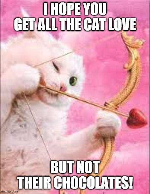 Happy Valentines! | I HOPE YOU GET ALL THE CAT LOVE; BUT NOT THEIR CHOCOLATES! | image tagged in cute,memes,funny,valentine's day | made w/ Imgflip meme maker