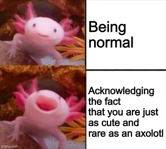 Happyxlotil | Being normal; Acknowledging the fact that you are just as cute and rare as an axolotl | image tagged in axolotl drake,wholesome | made w/ Imgflip meme maker