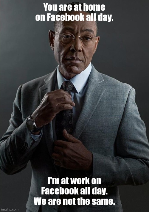 Another Gus Fring meme |  You are at home on Facebook all day. I'm at work on Facebook all day. We are not the same. | image tagged in memes,funny,gus fring we are not the same,facebook,breaking bad,work sucks | made w/ Imgflip meme maker