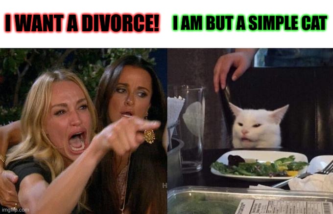 None | I WANT A DIVORCE! I AM BUT A SIMPLE CAT | image tagged in memes,woman yelling at cat | made w/ Imgflip meme maker