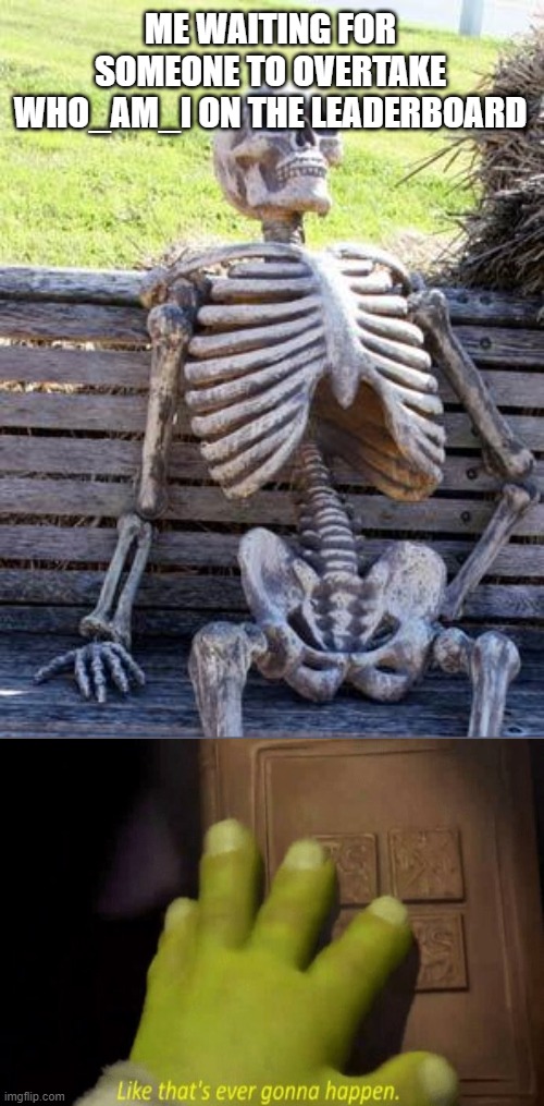 Wtf is up with it? Who_am_i has like 2x Raydog's points and Raydog doesn't even post anymore (RIP)) post an | ME WAITING FOR SOMEONE TO OVERTAKE WHO_AM_I ON THE LEADERBOARD | image tagged in memes,waiting skeleton,funny,who_am_i,like that's ever gonna happen,funny memes | made w/ Imgflip meme maker