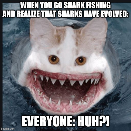 WHEN YOU GO SHARK FISHING AND REALIZE THAT SHARKS HAVE EVOLVED:; EVERYONE: HUH?! | made w/ Imgflip meme maker