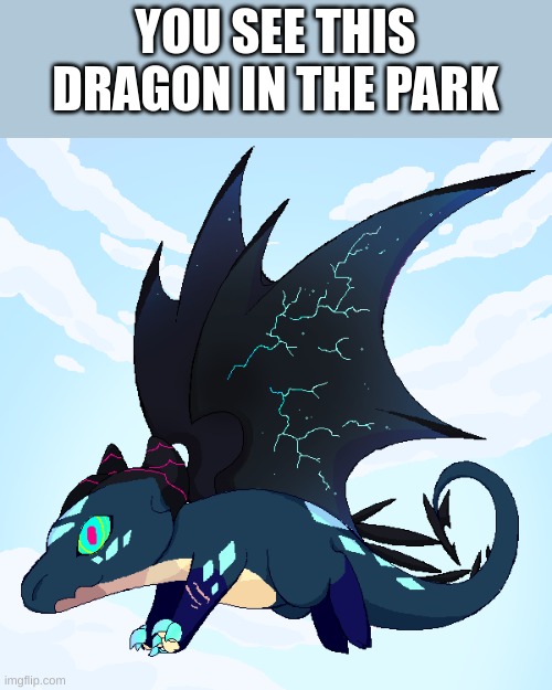 YOU SEE THIS DRAGON IN THE PARK | image tagged in roleplay | made w/ Imgflip meme maker