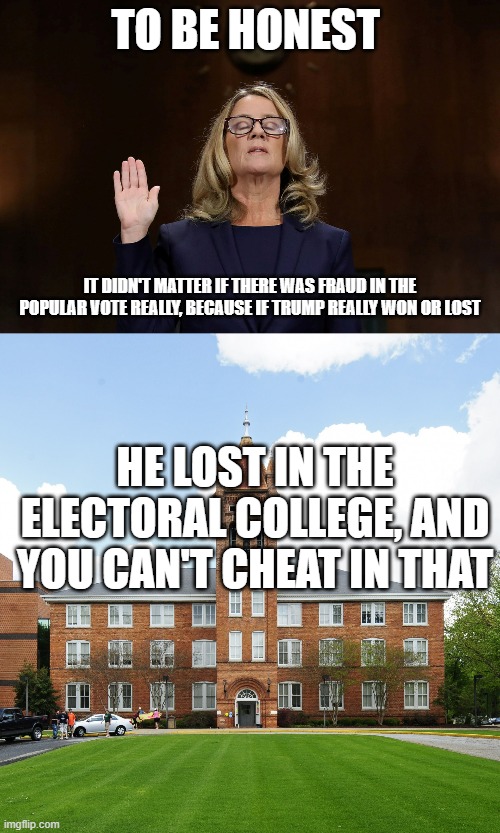Call me out if I'm dumb, but I am just being totally honest now, because he lost the college by a good margin | TO BE HONEST; IT DIDN'T MATTER IF THERE WAS FRAUD IN THE POPULAR VOTE REALLY, BECAUSE IF TRUMP REALLY WON OR LOST; HE LOST IN THE ELECTORAL COLLEGE, AND YOU CAN'T CHEAT IN THAT | image tagged in christine blasley ford,electoral college | made w/ Imgflip meme maker
