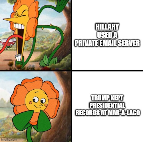 Republicans be like | HILLARY USED A PRIVATE EMAIL SERVER; TRUMP KEPT PRESIDENTIAL  RECORDS AT MAR-A-LAGO | image tagged in angry flower | made w/ Imgflip meme maker
