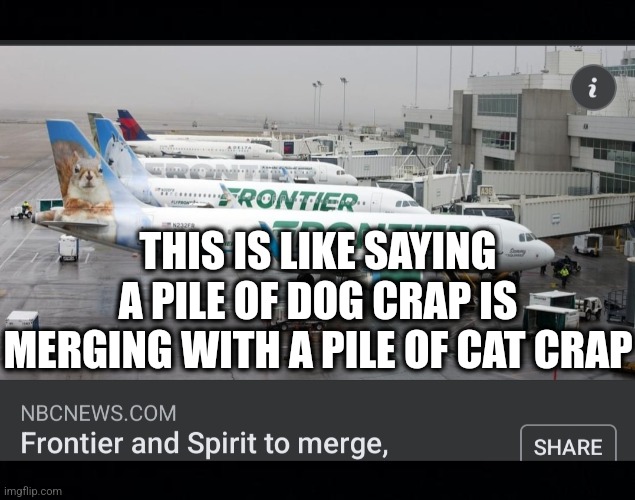 Frontier and Spirit Merging | THIS IS LIKE SAYING A PILE OF DOG CRAP IS MERGING WITH A PILE OF CAT CRAP | image tagged in airplane,airlines,merging,funny,breaking news | made w/ Imgflip meme maker
