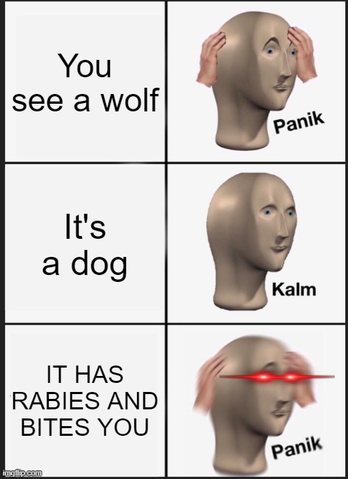 Uh-Oh... | You see a wolf; It's a dog; IT HAS RABIES AND BITES YOU | image tagged in memes,panik kalm panik | made w/ Imgflip meme maker